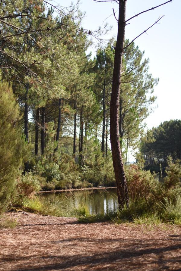 La Cachette Du Lac Lacanau Eksteriør bilde