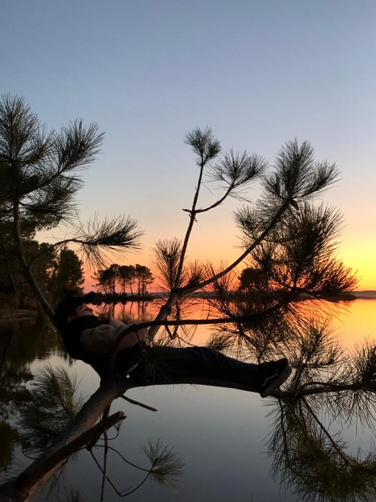 La Cachette Du Lac Lacanau Eksteriør bilde