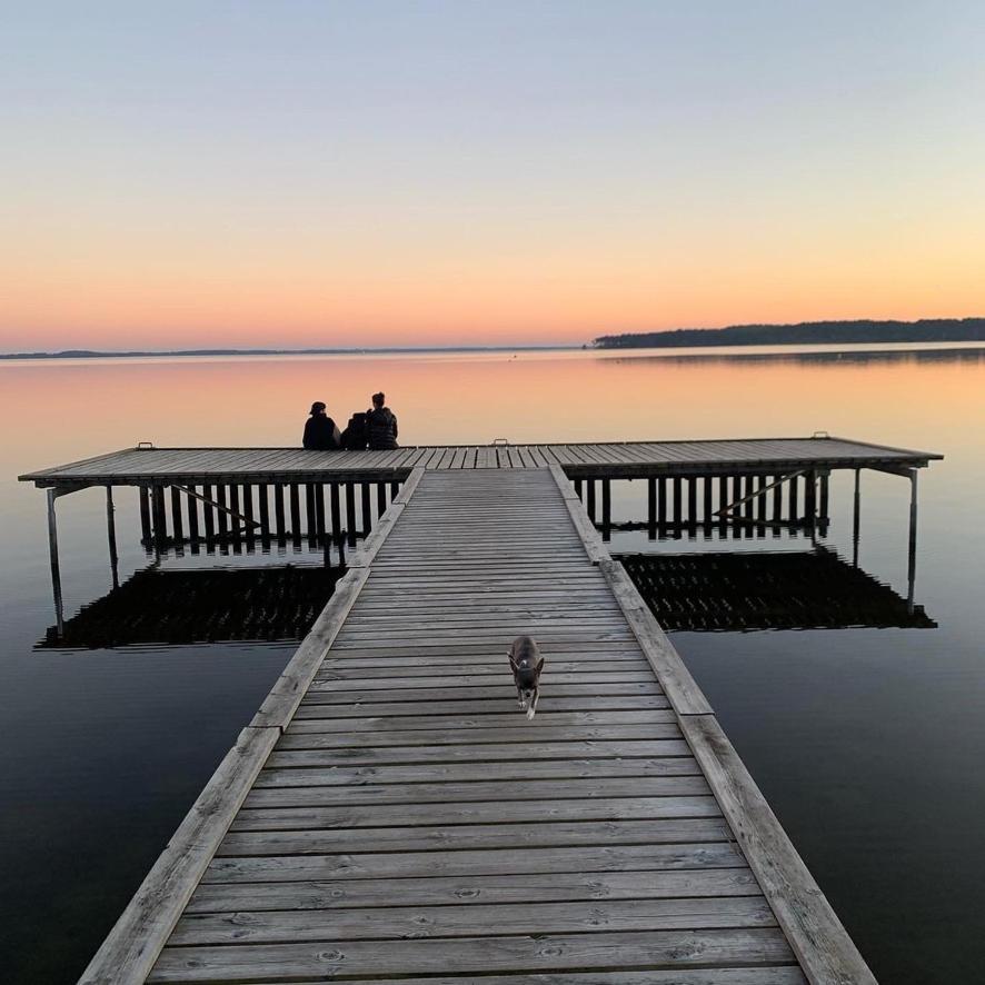 La Cachette Du Lac Lacanau Eksteriør bilde